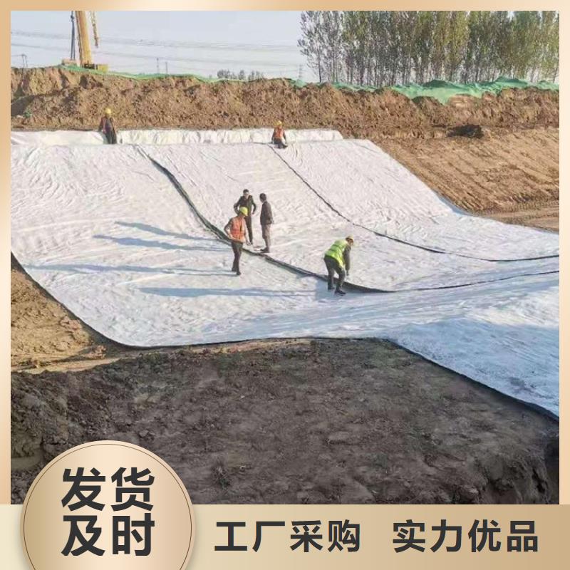 【膨润土防水毯】涤纶格栅一致好评产品