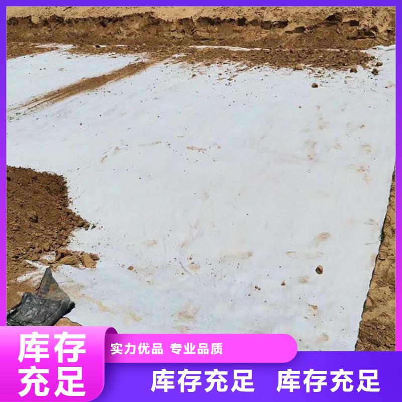 膨润土防水毯_植草格源头厂家