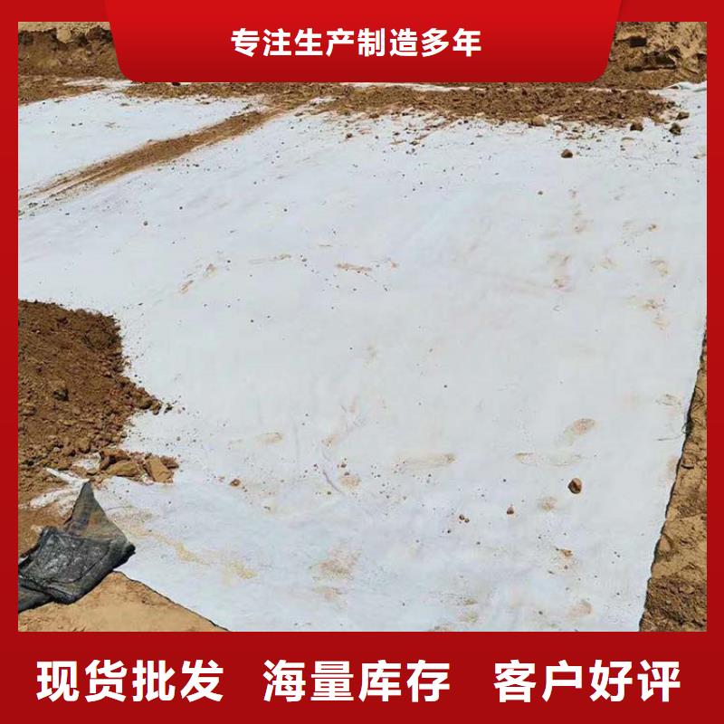 膨润土防水毯玻纤格栅一站式采购商家