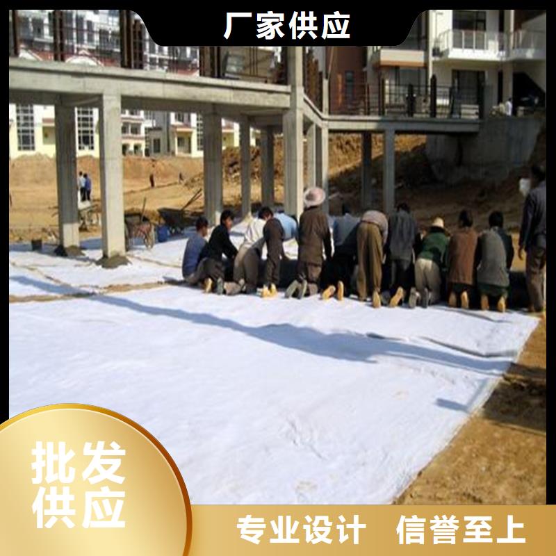 膨润土防水毯_【土工格栅】品质无所畏惧