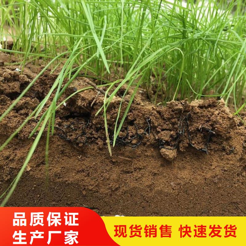 水土保护毯-钢塑格栅精工制作