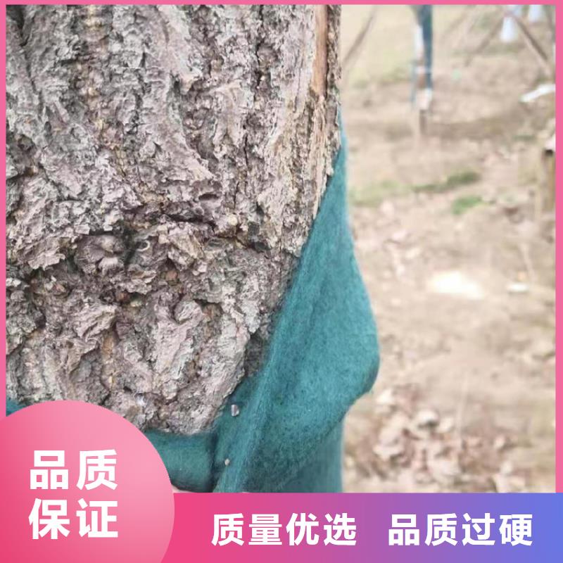 裹树布土工膜质量层层把关