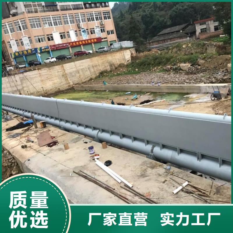 钢板闸门非标规格定做