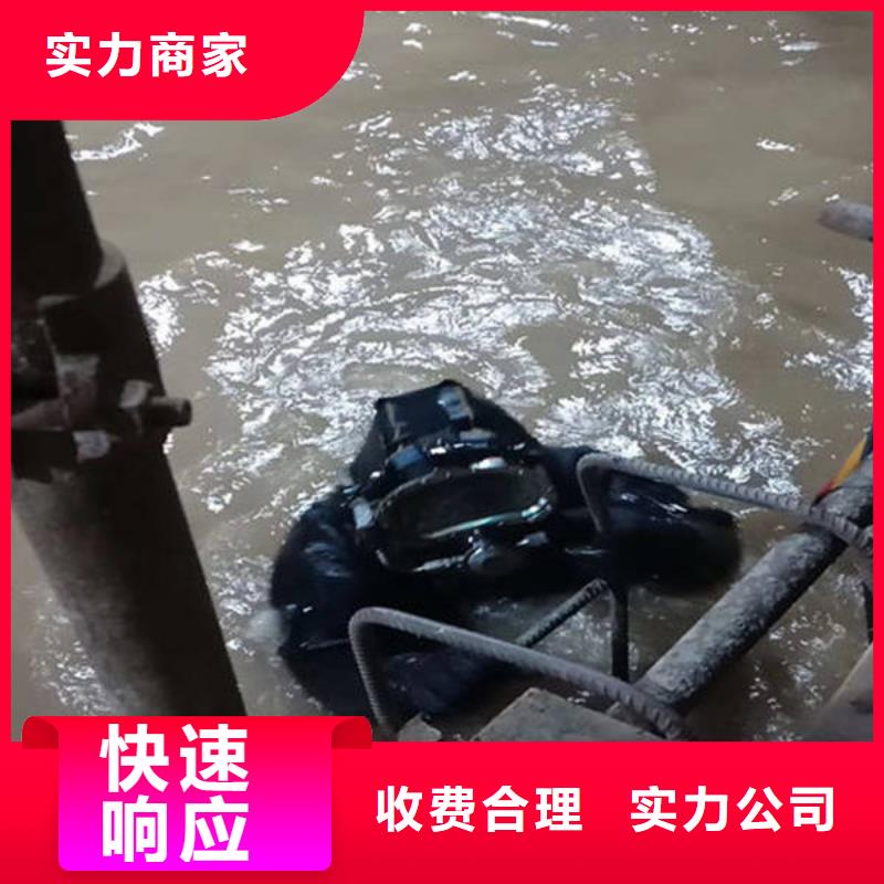 重庆市沙坪坝区鱼塘打捞貔貅随叫随到





