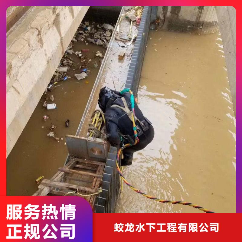 桥桩桥墩水下检测录像公司【本地施工队】