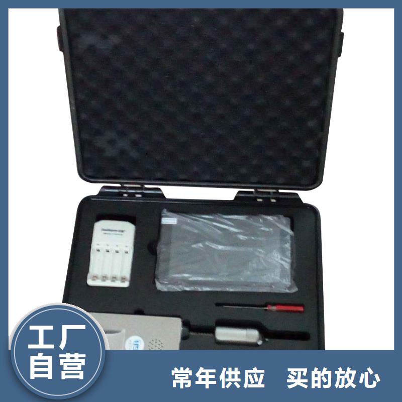 发电机定子绝缘电阻测试仪