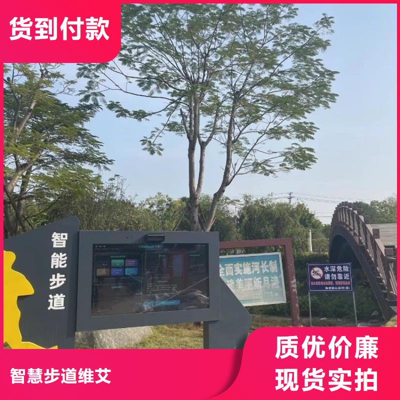 智慧 光影陪跑墙支持货到付清