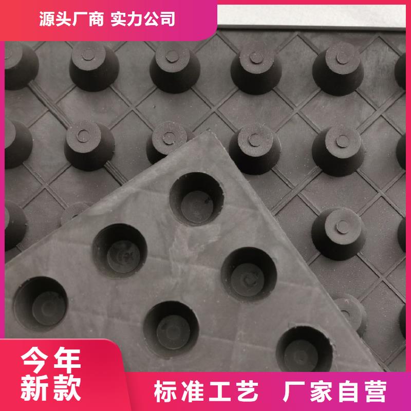 排水板【水泥化粪池】实拍展现