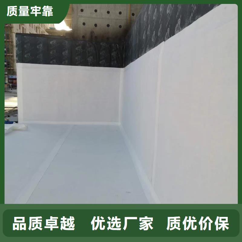 虹吸排水水泥化粪池专注质量