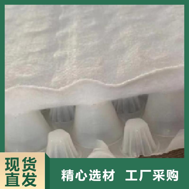 虹吸排水-植草格高品质诚信厂家