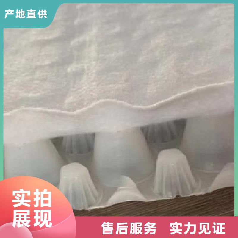 虹吸排水水泥化粪池拒绝伪劣产品