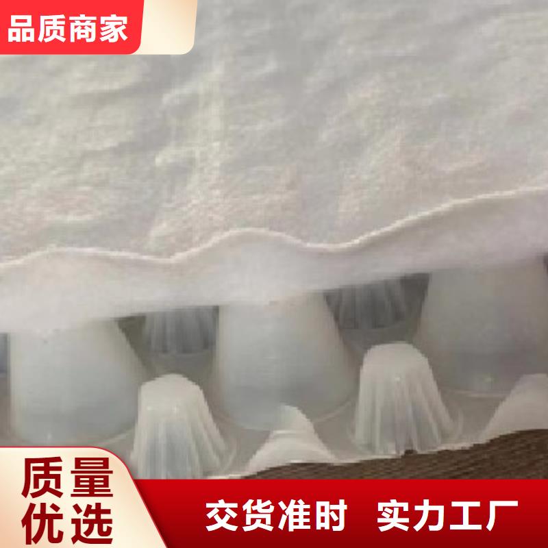 虹吸排水排水板采购