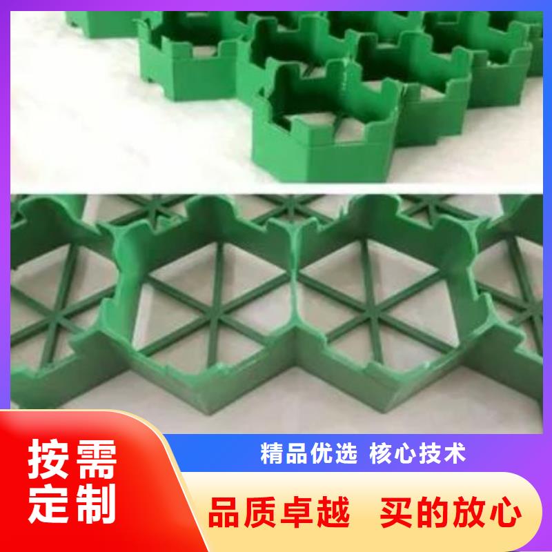 【植草格】水泥化粪池满足客户需求
