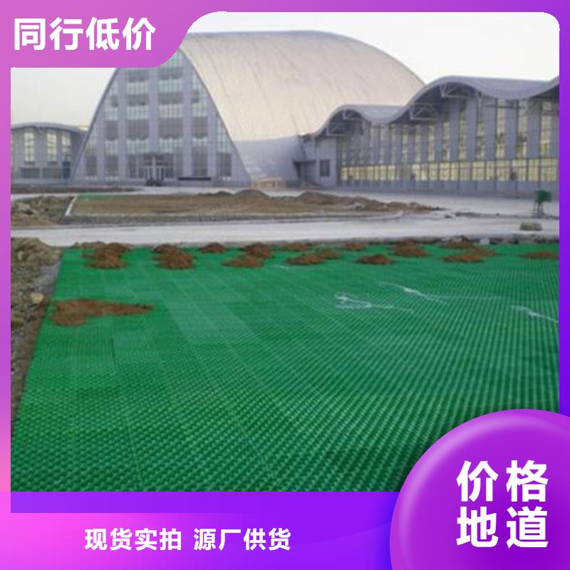 植草格排水板品质信得过