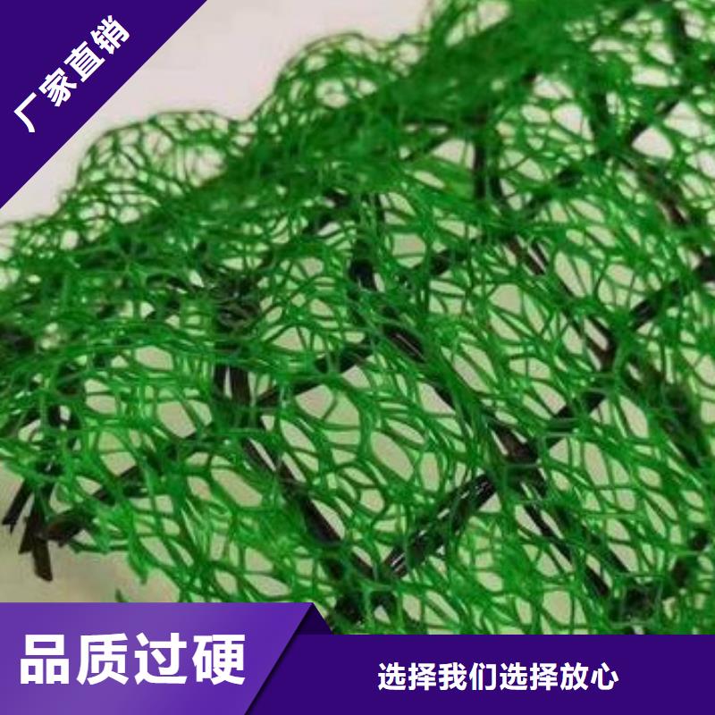 三维植被网防护虹吸排水收集系统支持定制加工