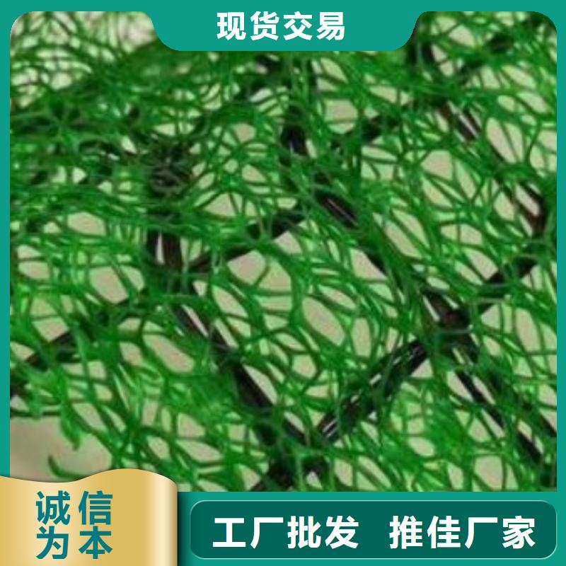 三维植被网车库虹吸排水系统场行情