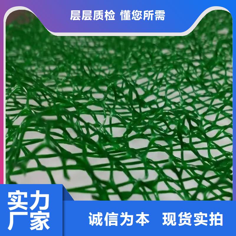 三维植被网【水泥化粪池】发货及时