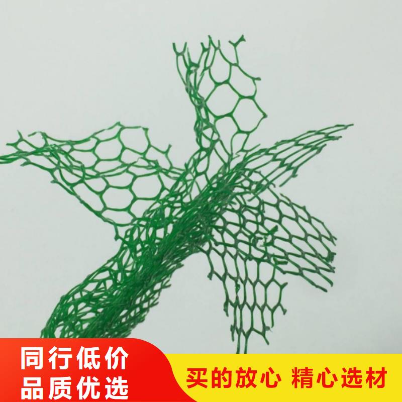 三维植被网【水泥化粪池】发货及时