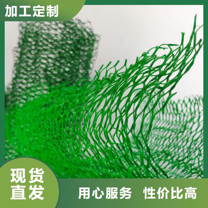 三维植被网【水泥化粪池】现货销售