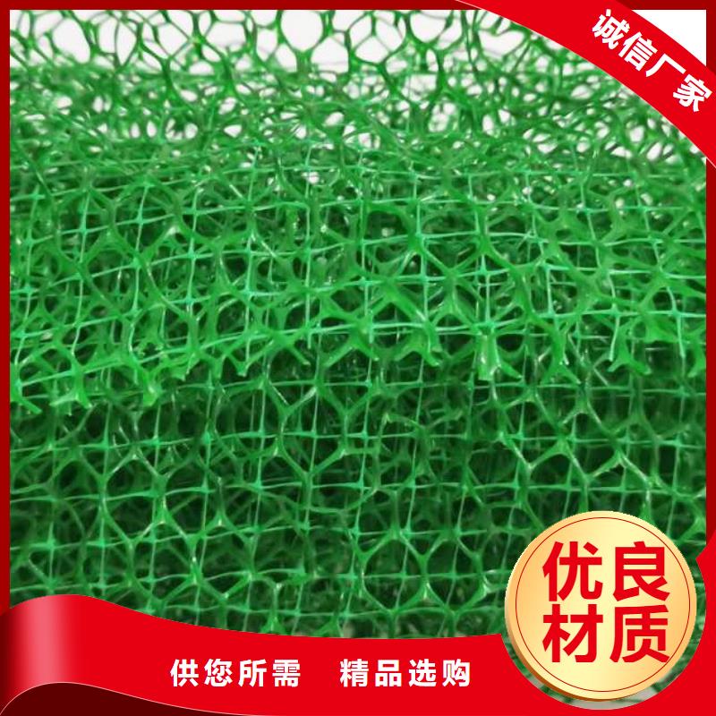 三维植被网植草格应用范围广泛