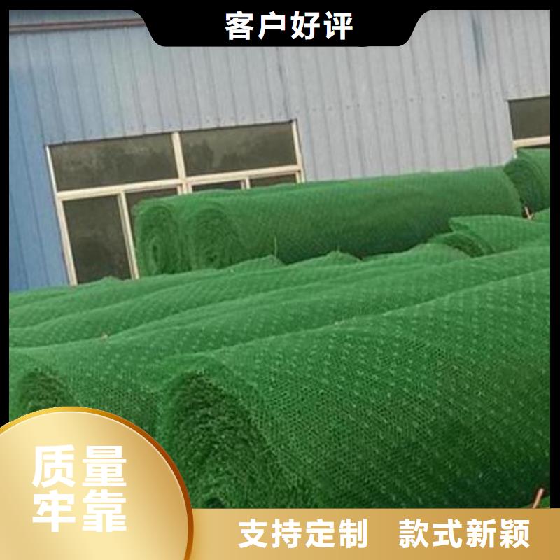 【三维植被网】防护虹吸排水收集系统好品质选我们