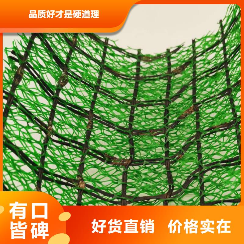 三维植被网_【植草格】主推产品