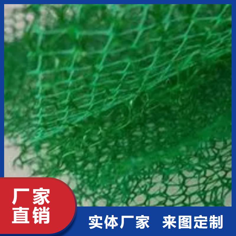 三维植被网_植草格一致好评产品