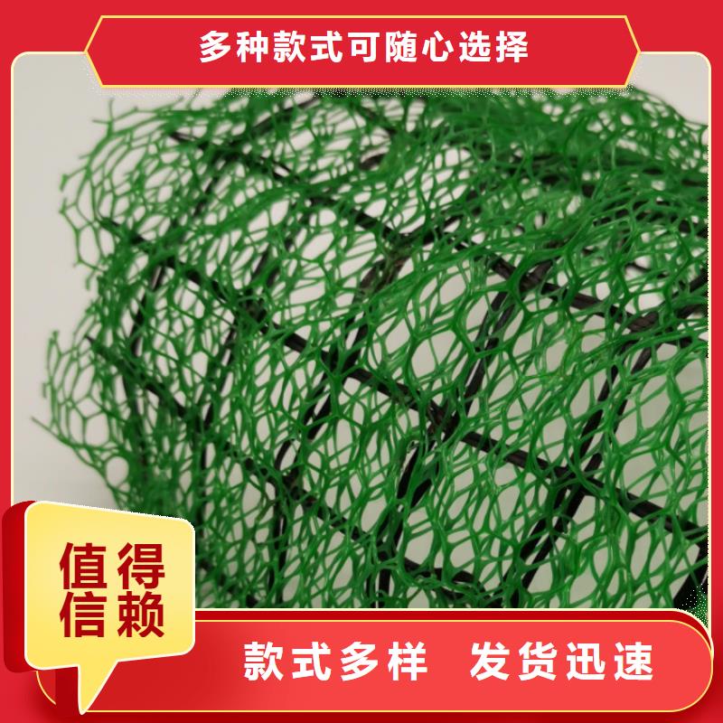 【三维植被网】,植草格规格齐全实力厂家