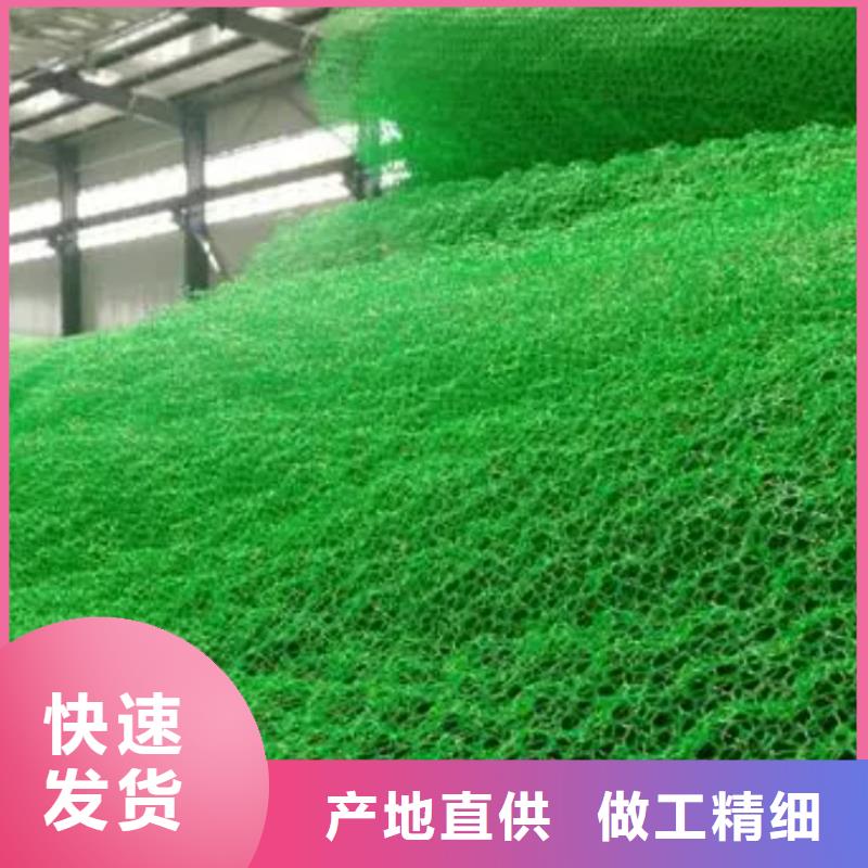 三维植被网【化粪池水泥】定制不额外收费