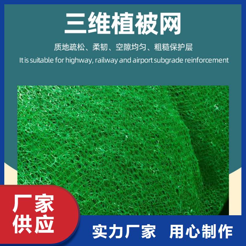 三维植被网【水泥化粪池】现货销售