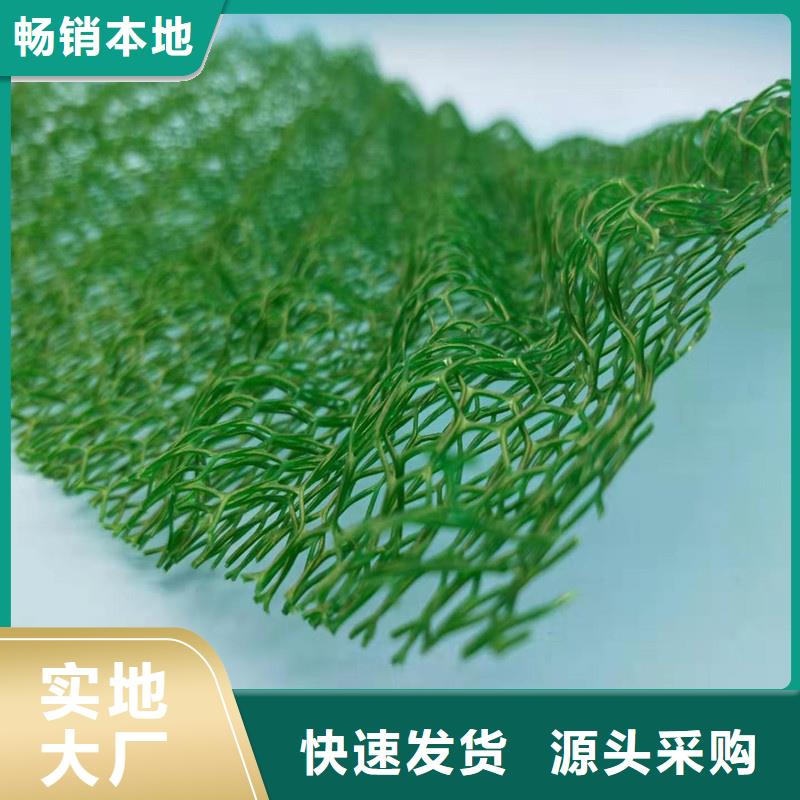 三维植被网_防护虹吸排水收集系统质量层层把关