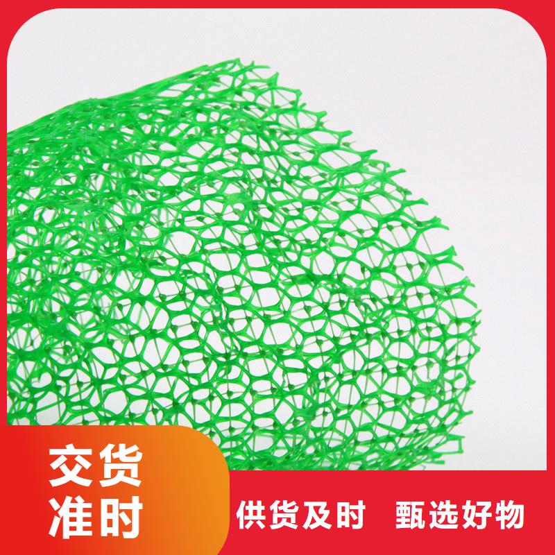 【三维植被网植草格库存量大】