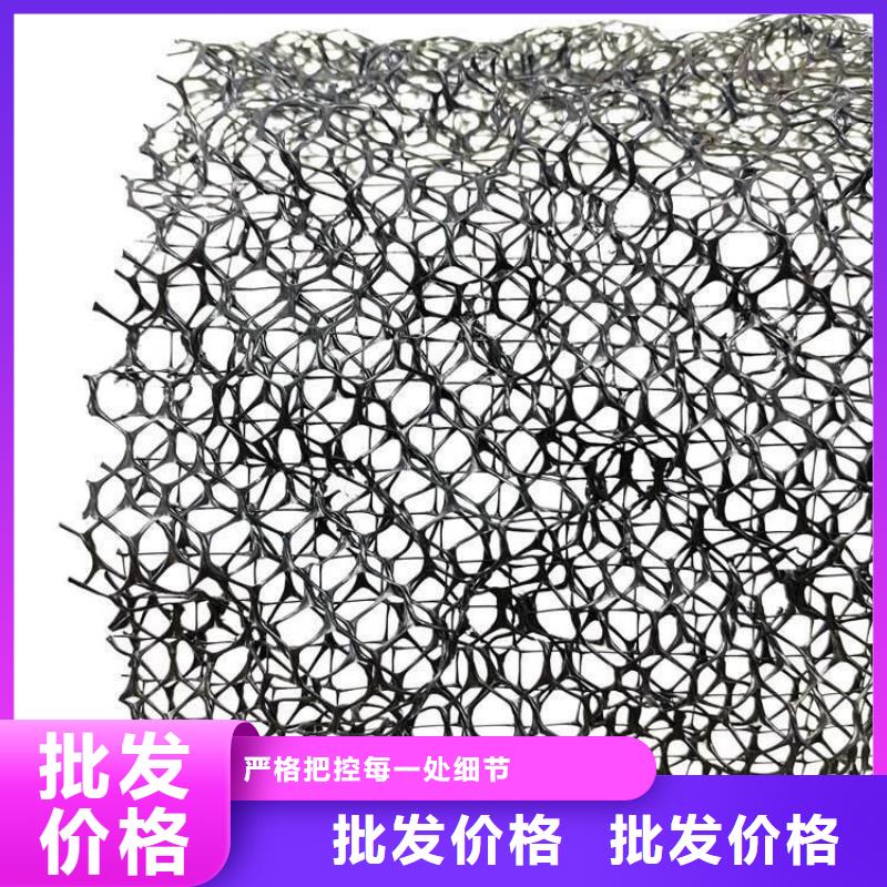 【三维植被网】排水板精心打造