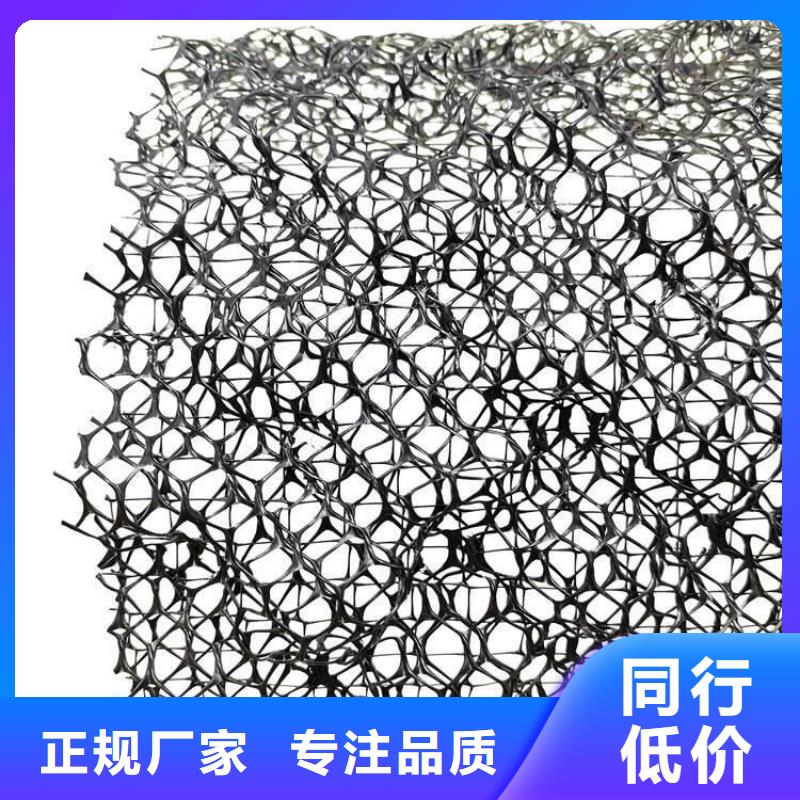 【三维植被网】-植草格一致好评产品