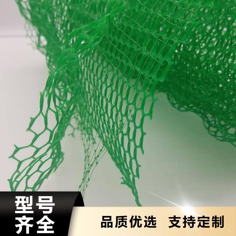 三维植被网-排水板精工制作