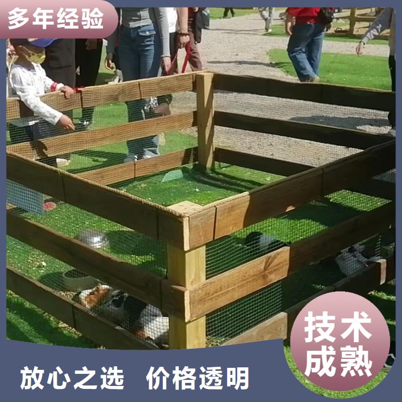 【马戏团/羊驼】_小香猪宠物出租专业