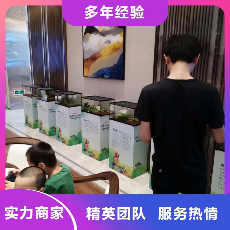 【马戏团/羊驼-企鹅租赁方便快捷】