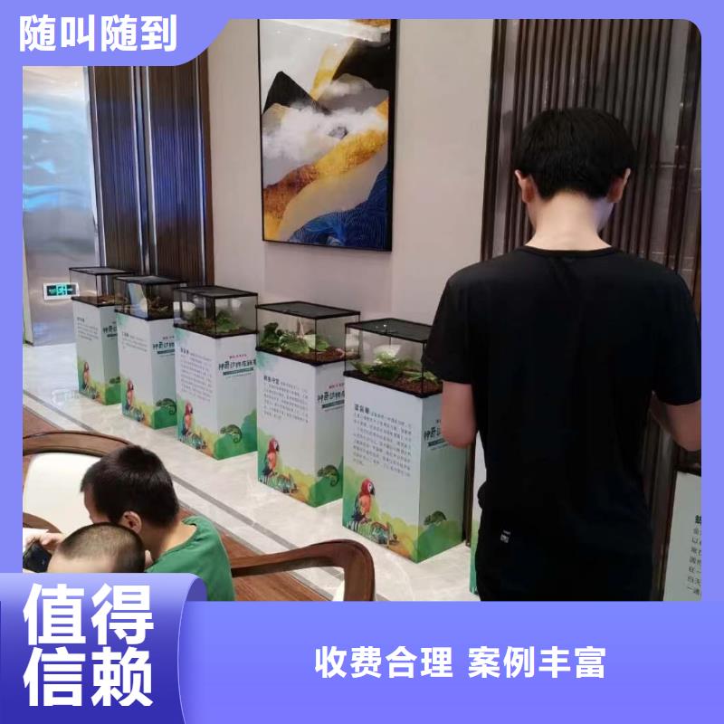 马戏团/羊驼海狮表演出租好评度高