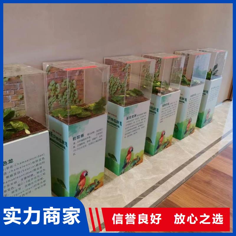 马戏团/羊驼萌宠动物展出租技术好