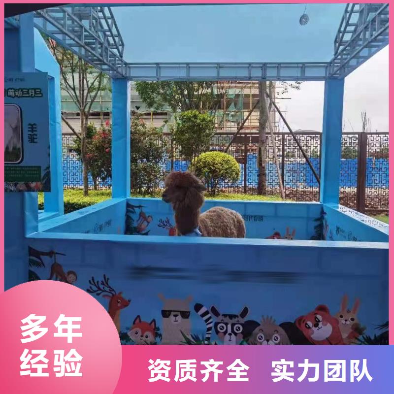 马戏团/羊驼-【海狮表演出租】服务周到