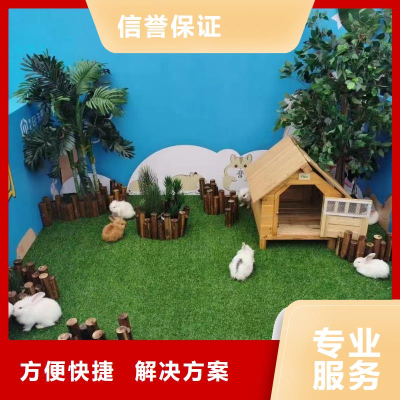 马戏团/羊驼【出租马戏表演】精英团队