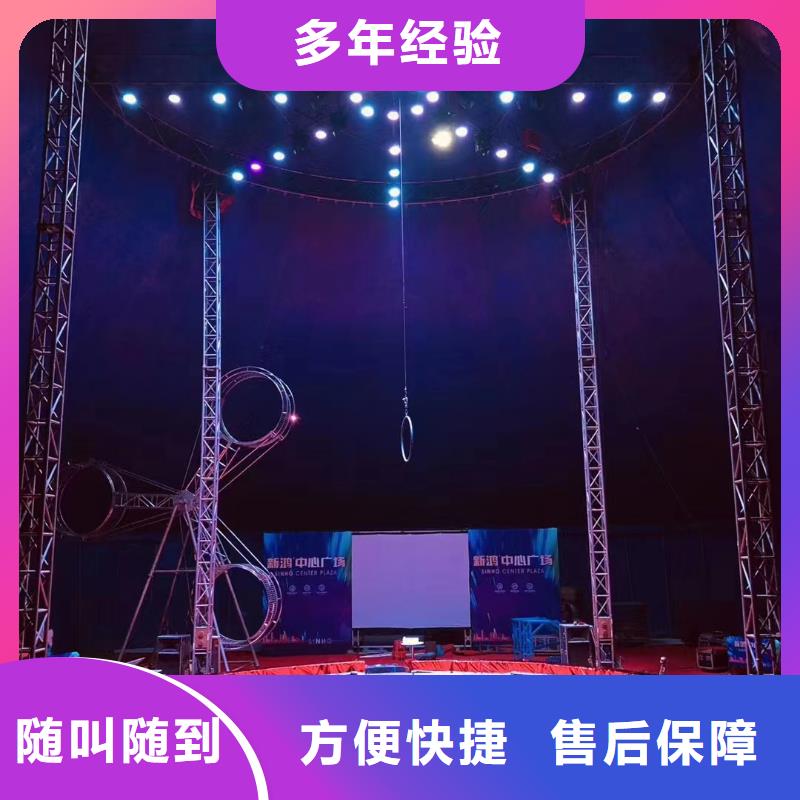 马戏团/羊驼【海狮杂技表演】团队