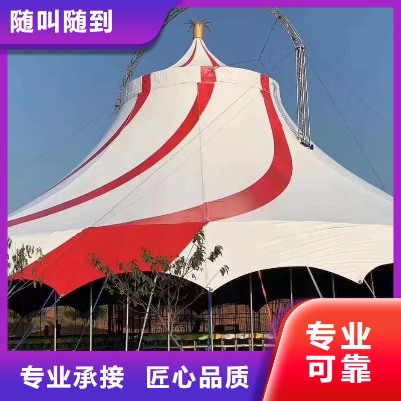 马戏团/羊驼,羊驼出租价格公道