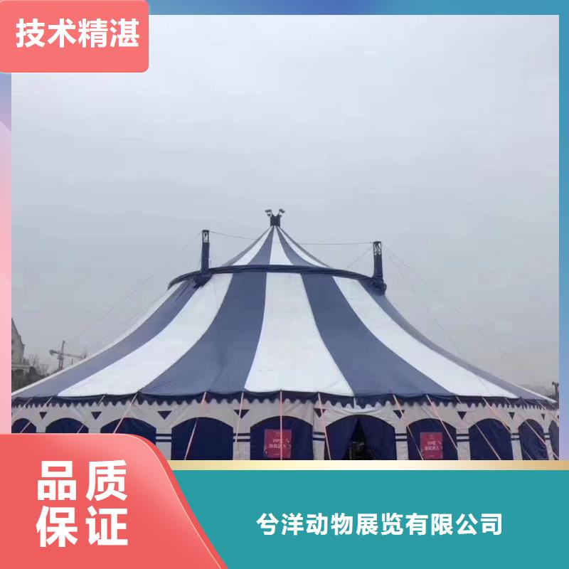 【马戏团/羊驼-水族海洋展长期合作】