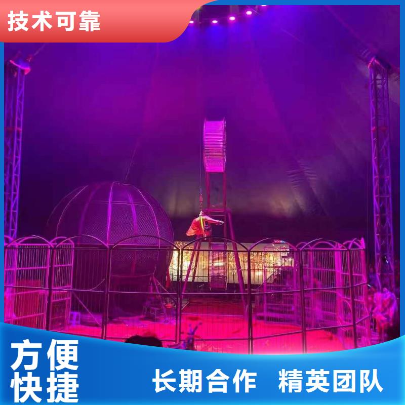马戏团/羊驼【【企鹅表演】】公司
