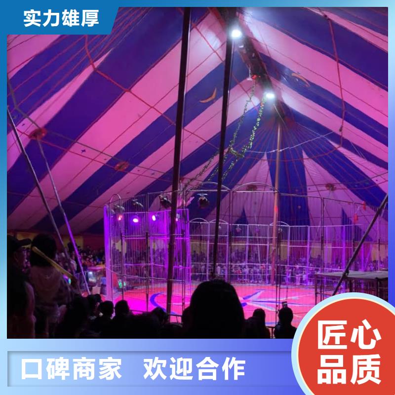 马戏团/羊驼环球飞车表演出租放心之选