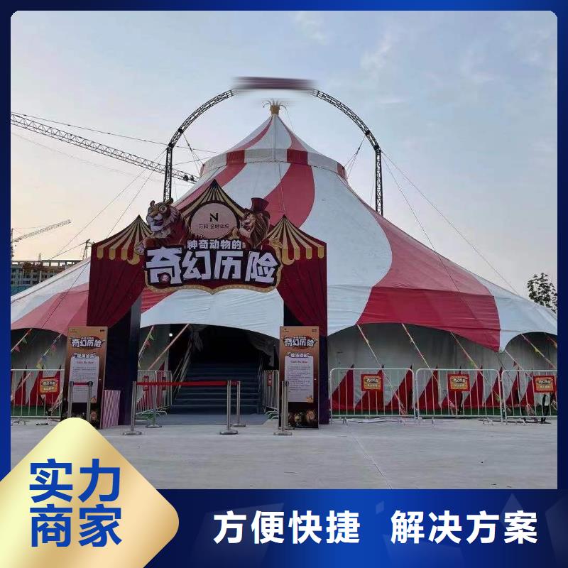 马戏团/羊驼马戏团表演品质服务