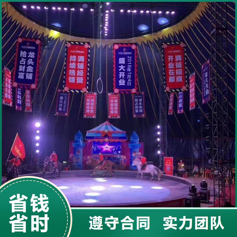 马戏团/羊驼出租海狮表演价格公道