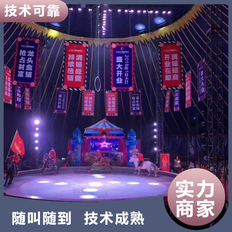 【马戏团/羊驼】【马戏团表演出租租赁】精英团队