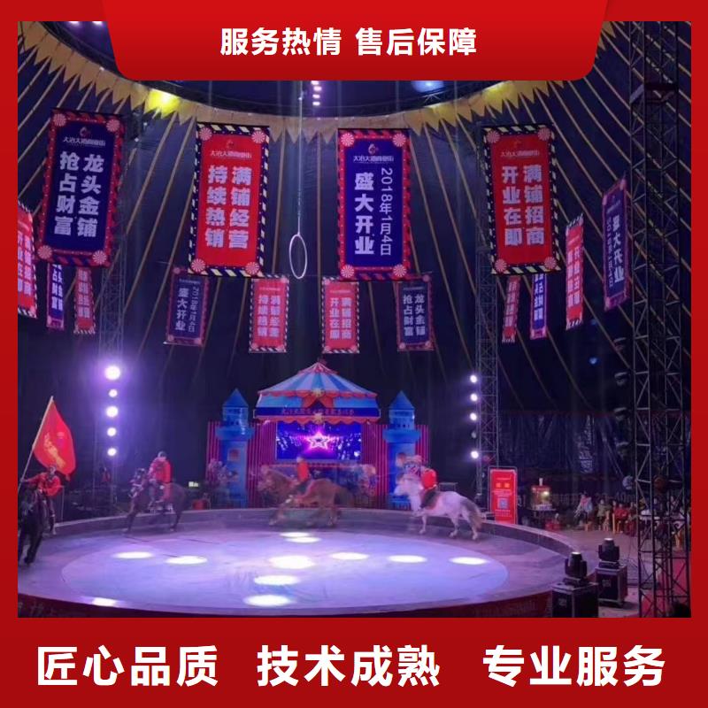 马戏团/羊驼环球飞车表演出租公司